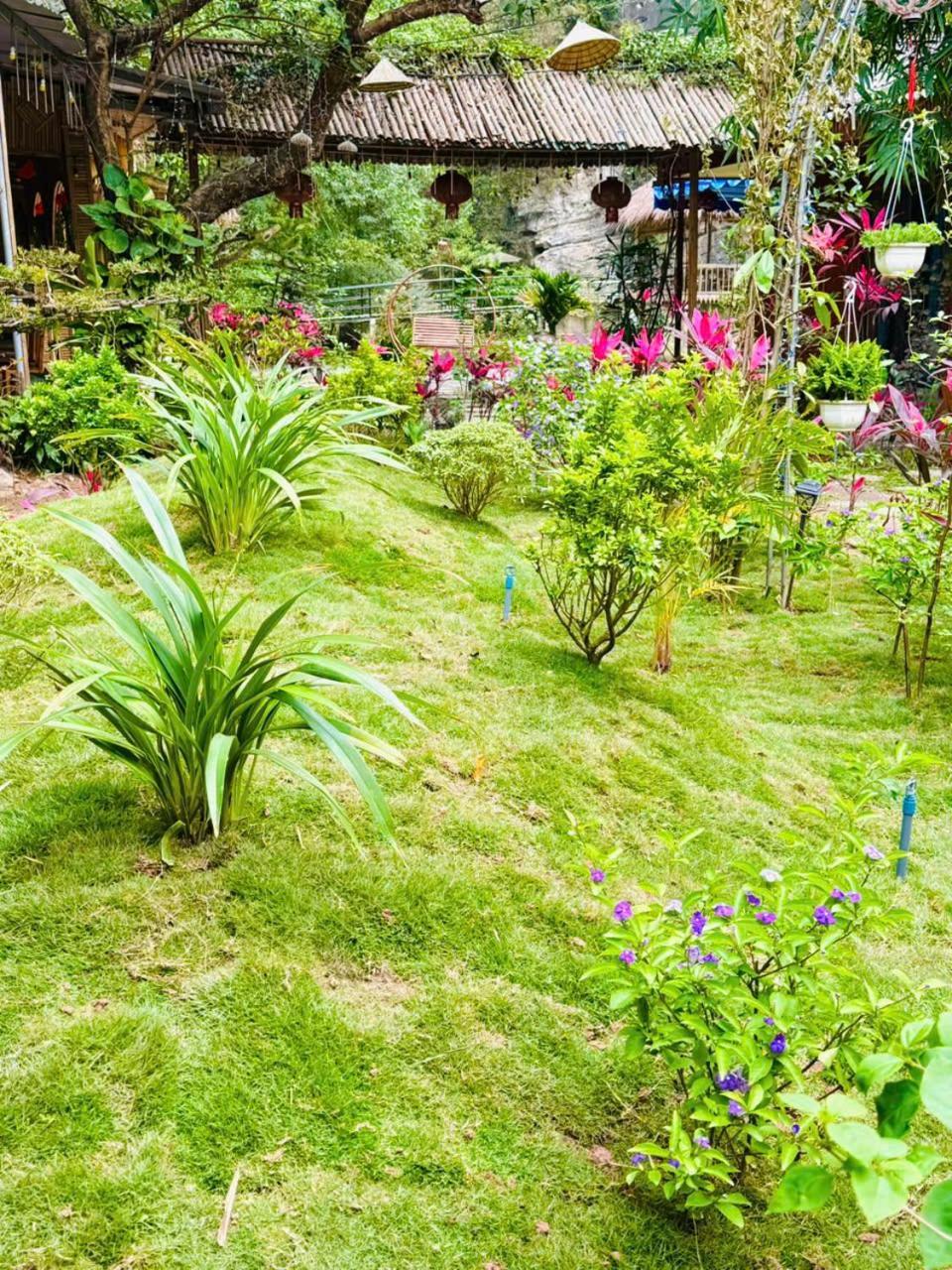 Green Valley Homestay - Thung Lung Xanh Nguyen Ngoai Εξωτερικό φωτογραφία