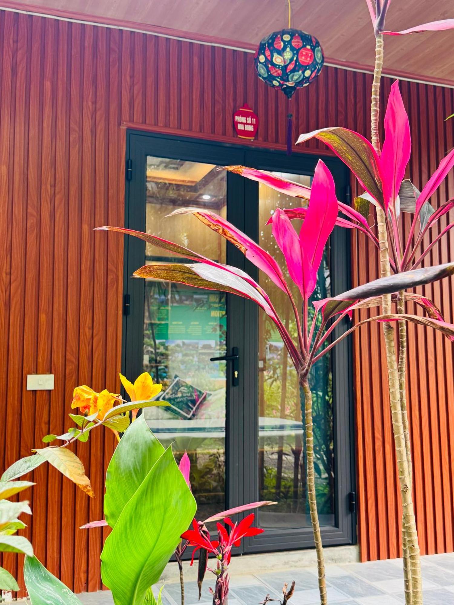 Green Valley Homestay - Thung Lung Xanh Nguyen Ngoai Εξωτερικό φωτογραφία