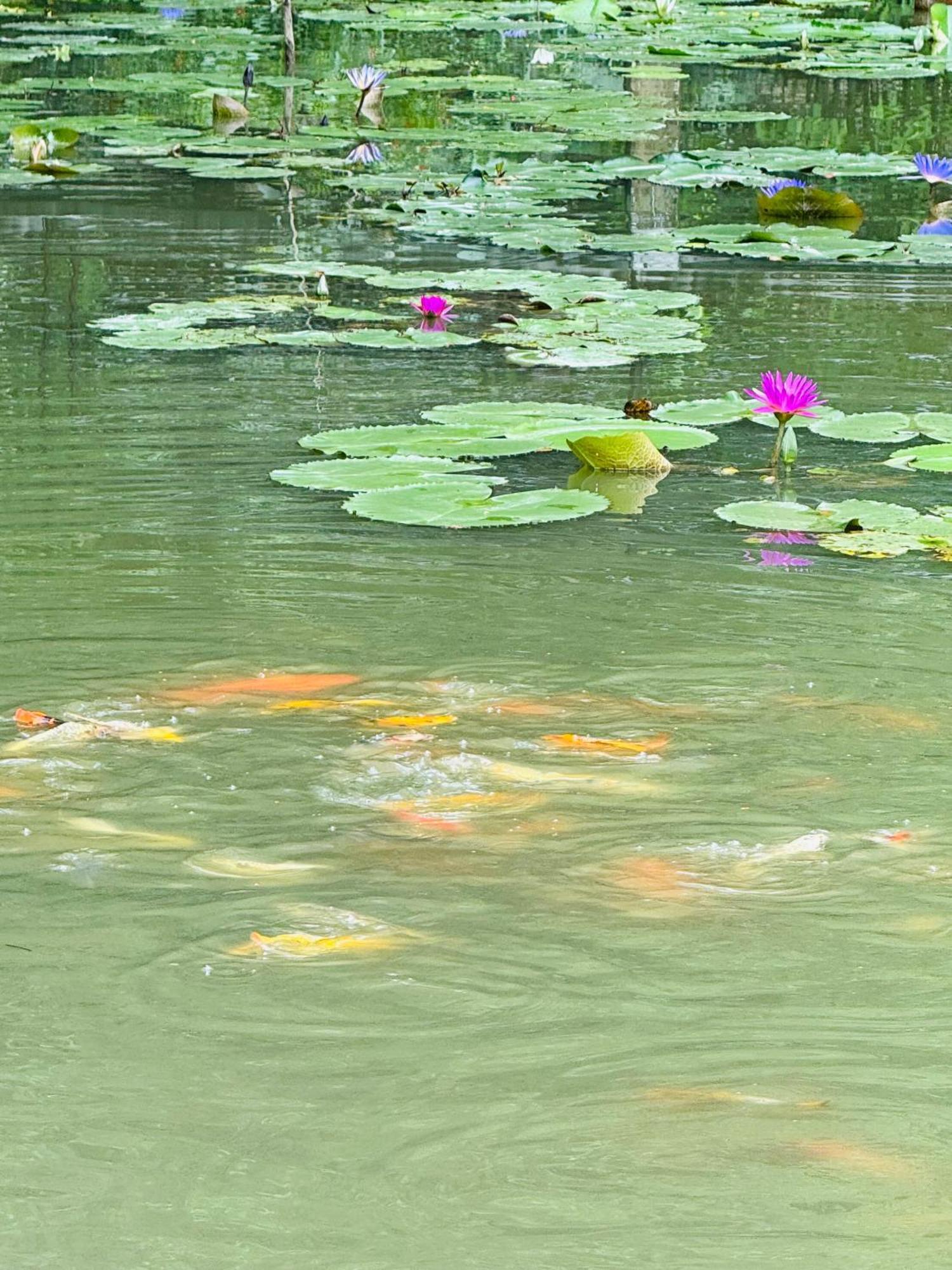 Green Valley Homestay - Thung Lung Xanh Nguyen Ngoai Εξωτερικό φωτογραφία